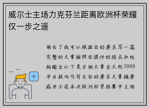 威尔士主场力克芬兰距离欧洲杯荣耀仅一步之遥